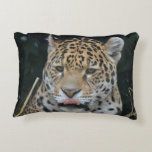 Jaguar Licking His Lips Decorative Pillow