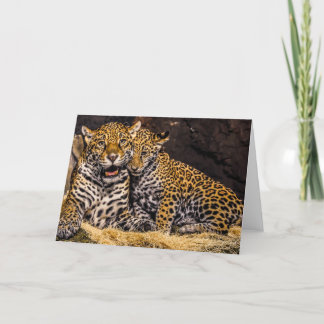 Jaguar Mom & Cub Greeting Card