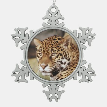 Jaguar Ornament by lynnsphotos at Zazzle