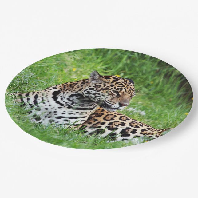 Jaguar Paper Plates (Angled)