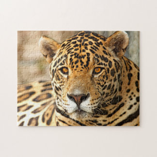 Jaguar Photo Jigsaw Puzzle