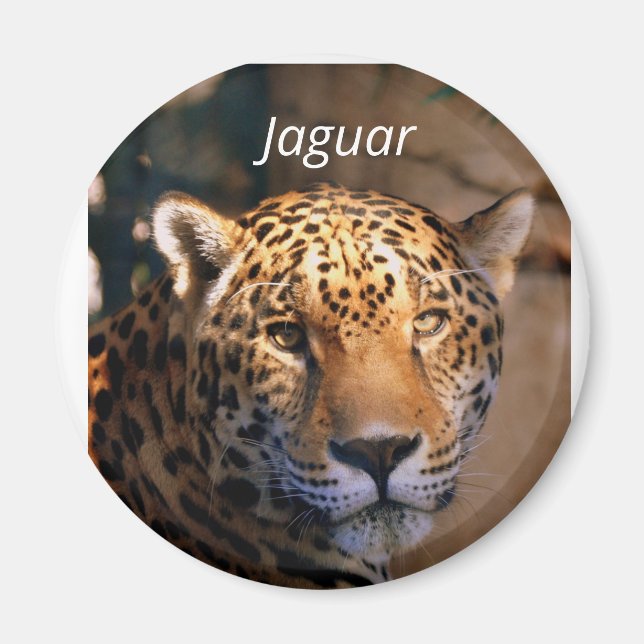 Jaguar photo magnet (Front)