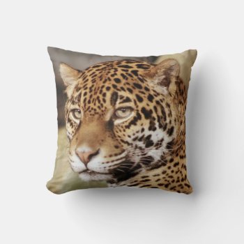 Jaguar Pillow by lynnsphotos at Zazzle