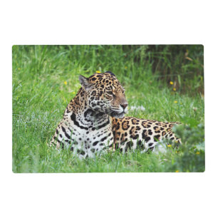 Jaguar Placemat