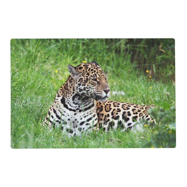 Jaguar Placemat (Front)