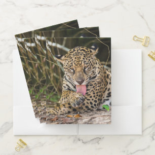 Jaguar  pocket folder