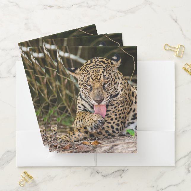 Jaguar  pocket folder (In Situ)