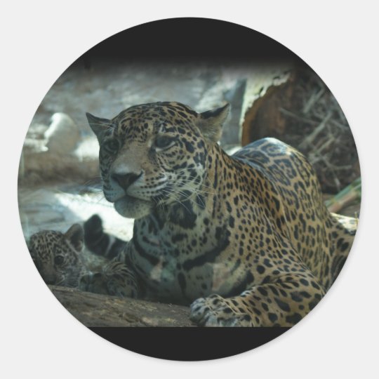 JAGUAR - PROTECTIVE MOTHER AND KITTEN CLASSIC ROUND STICKER