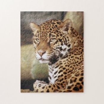 Jaguar Puzzle by lynnsphotos at Zazzle