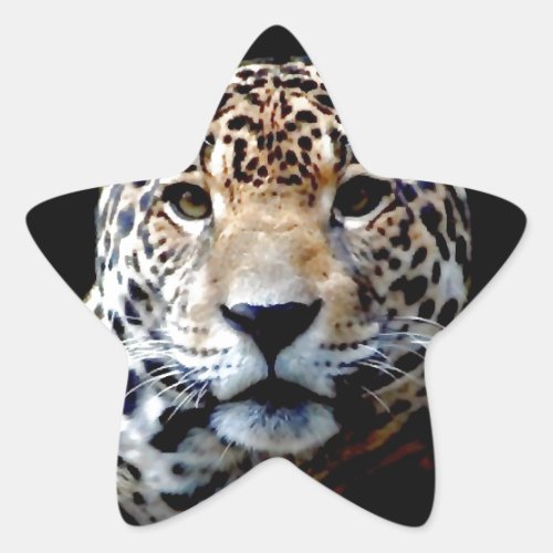 Jaguar Star Sticker