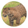 Jaguar Stickers