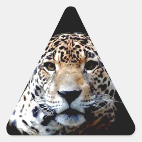 Jaguar Triangle Sticker