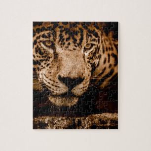 jaguar water hunting eyes jigsaw puzzle