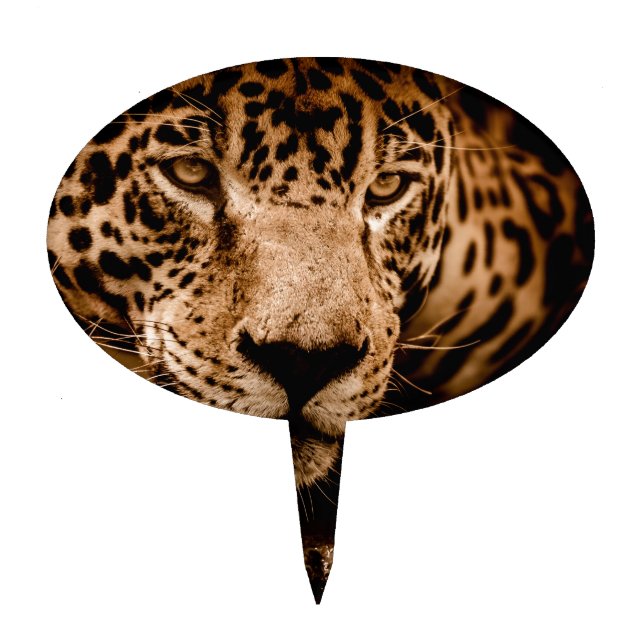 jaguar water stalking eyes cake topper (Front)