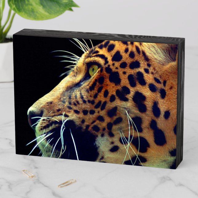 Jaguar Wooden Box Sign (In Situ Horizontal)