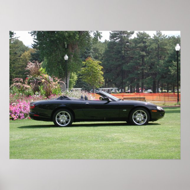 Jaguar XK8 Convertible Poster (Front)