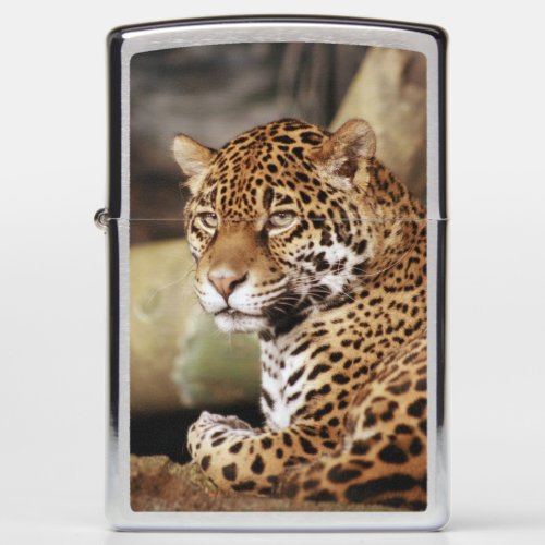 Jaguar Zippo lighter