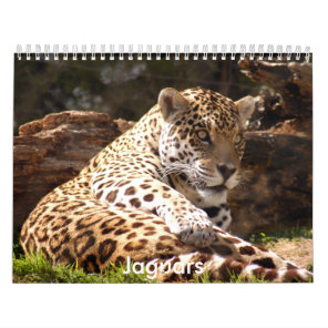 Jaguars Calendar, Jaguars Calendar
