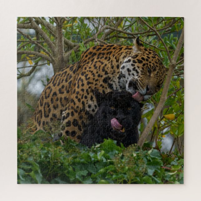 Jaguars In Love Jigsaw Puzzle (Vertical)