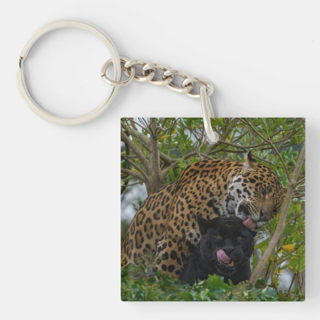 Jaguars In Love Keychain (Front)