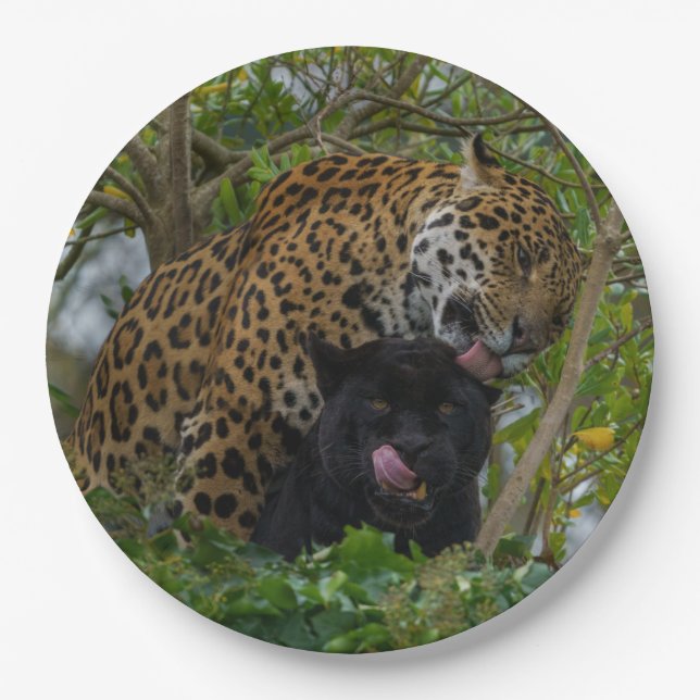 Jaguars In Love Paper Plates (Front)
