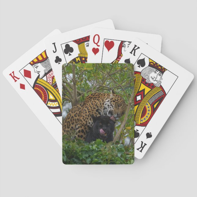 Jaguars In Love Poker Cards (Back)