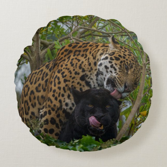 Jaguars In Love Round Pillow (Front)