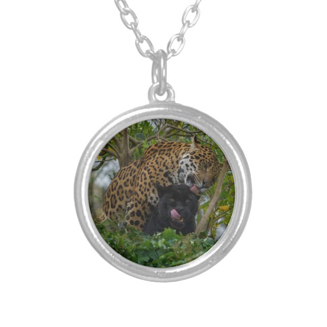Jaguars In Love Silver Plated Necklace (Front)