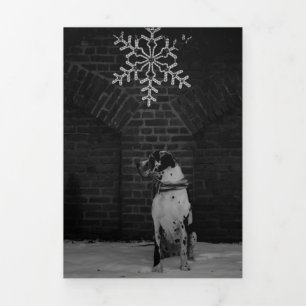 Jahresrückblick Fotos Karte Tri-Fold Holiday Card