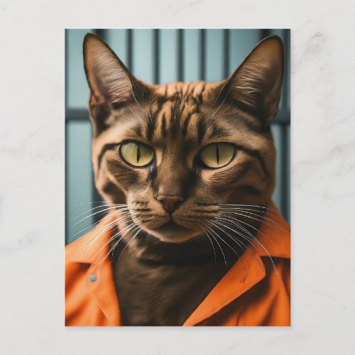 Jailhouse Meow Postcard