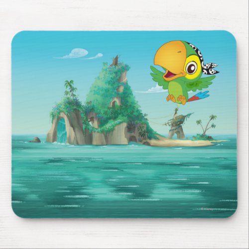 Jake and the Neverland Pirates  Skully Flying Mouse Pad