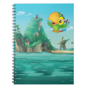 Jake and the Neverland Pirates   Skully Flying Notebook