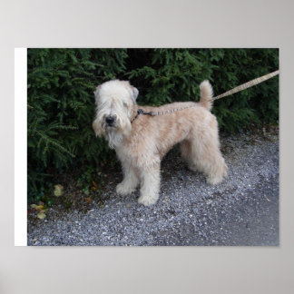 Jake at the Biltmore Poster