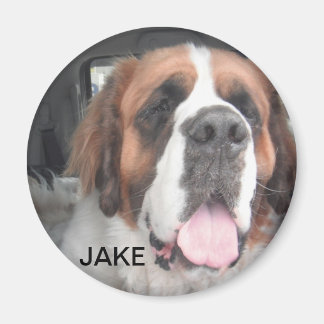 JAKE MAGNET