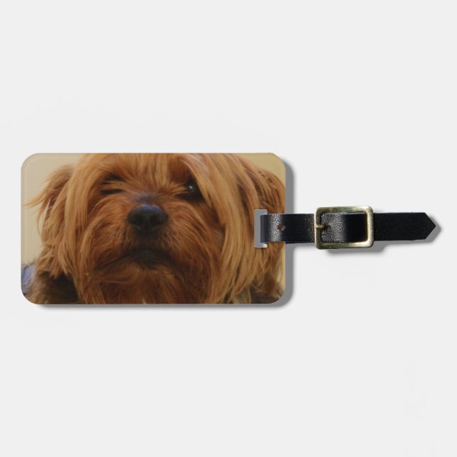 Jake The Yorkie Terrier Luggage Tag (Front Horizontal)