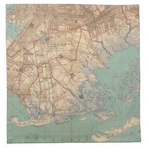 Jamaica Bay and Brooklyn Napkin