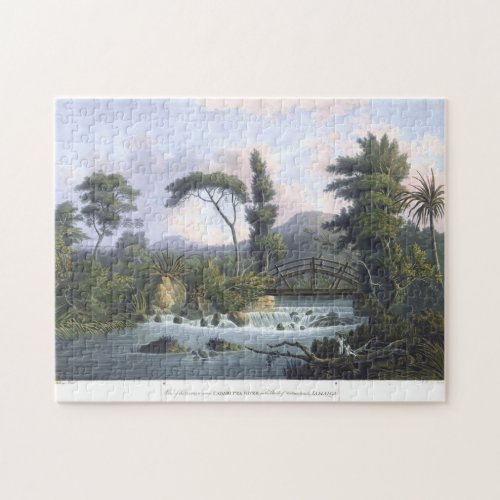 Jamaica Cabarita River Westmoreland Jigsaw Puzzle