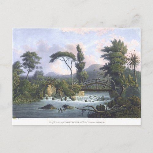 Jamaica Cabarita River Westmoreland Postcard