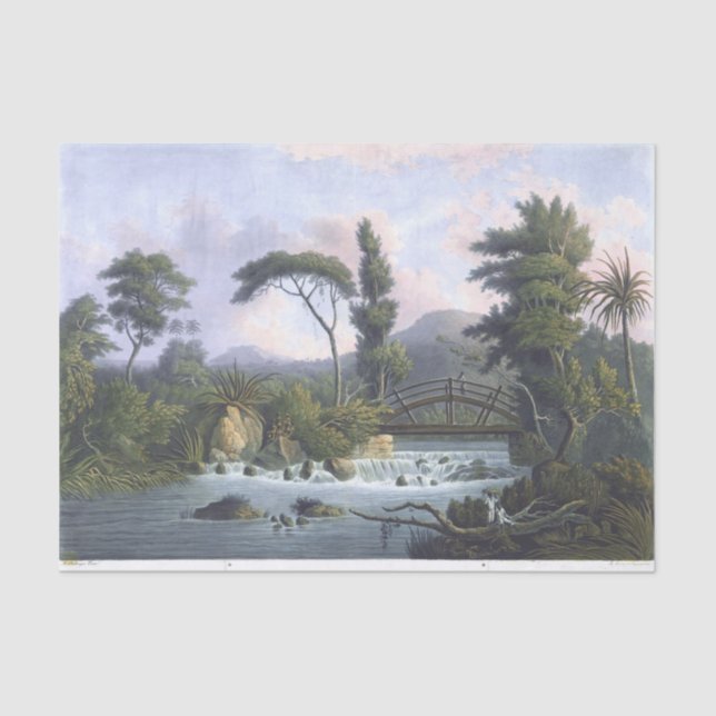 Jamaica Cabarita River Westmoreland Tissue Paper (Front)
