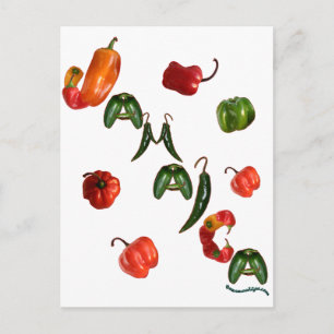 Jamaica Chili Peppers Postcard