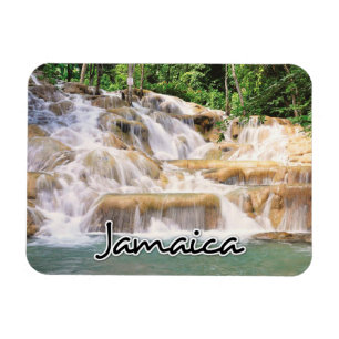 Jamaica Dunn's River Falls closeup Magnet