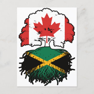 Jamaica Jamaican Canadian Canada Tree Roots Flag Postcard