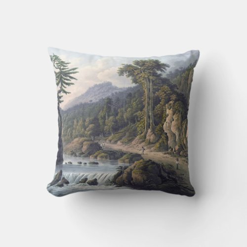 Jamaica Rio Cobre St Thomas Parish Throw Pillow