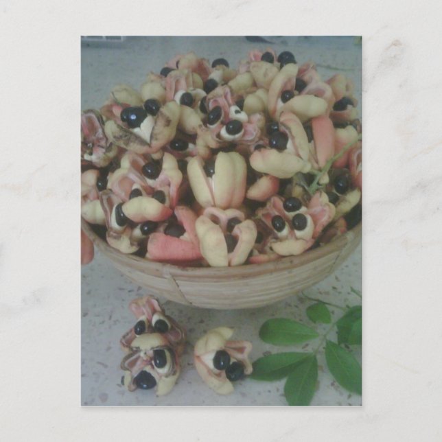 Jamaican Ackee Postcard (Front)