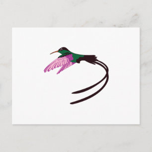 Jamaican Bird Postcard