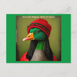 Jamaican Flying Reggae Mongoose Goose Funny Postcard