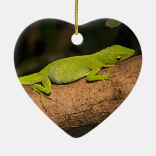 Jamaican giant anole ceramic ornament