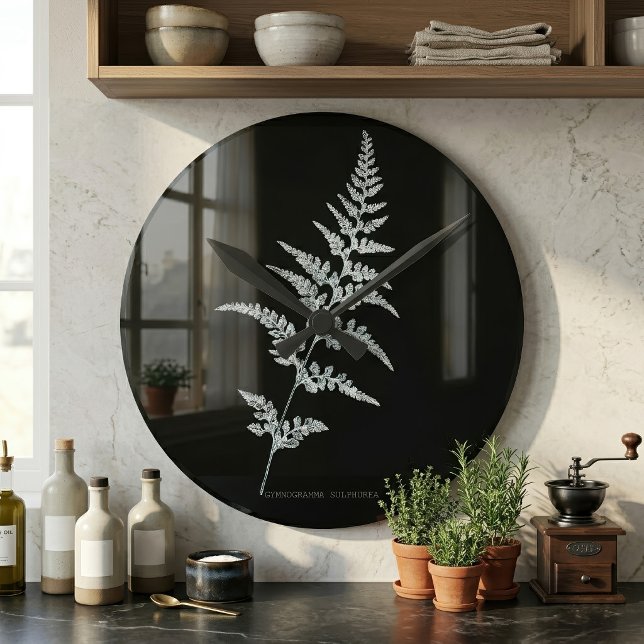 Jamaican Goldback Fern, Gymnogramma Sulphurea Round Clock (Jamaican Goldback Fern, Gymnogramma Sulphurea. Round Clock)