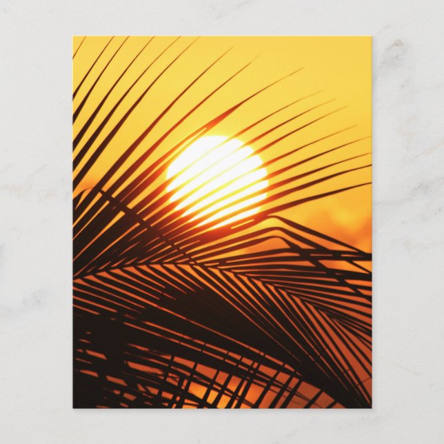 JAMAICAN SUNSET TROPICAL PHOTOGRAPHY NATURE WALLPA FLYER (Front)