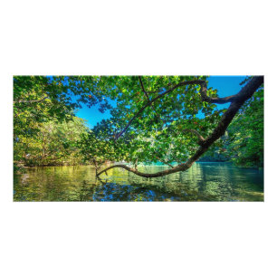 Jamaica's Blue Lagoon, Port Antonio Card